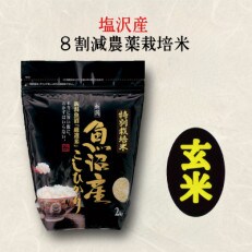 【令和4年産】特別栽培米「南魚沼産コシヒカリ」(栽培期間中農薬節減・化学肥料不使用)玄米4kg