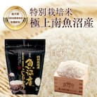 【7年産新米予約】特別栽培米「南魚沼産コシヒカリ」(栽培期間中農薬節減・化学肥料不使用)白米8kg