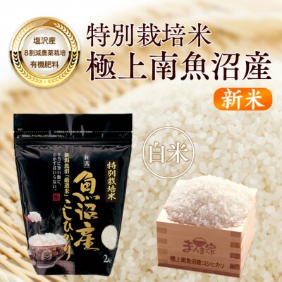 【新米】【8年産】特別栽培米「南魚沼産コシヒカリ」(栽培期間中農薬節減・化学肥料不使用)白米8kg