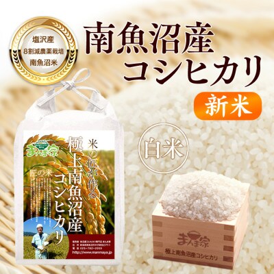【6年産】南魚沼産コシヒカリ(栽培期間中農薬節減・化学肥料不使用)白米10kg