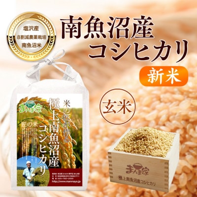 【6年産】南魚沼産コシヒカリ(栽培期間中農薬節減・化学肥料不使用)玄米10kg