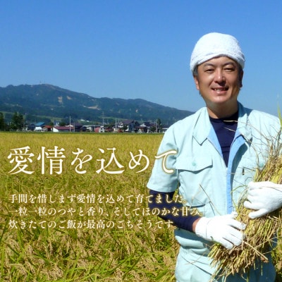 【6年産】南魚沼産コシヒカリ(塩沢産)　白米5kg