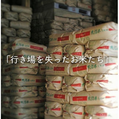 【令和7年産】南魚沼産コシヒカリ玄米10kg　訳あり