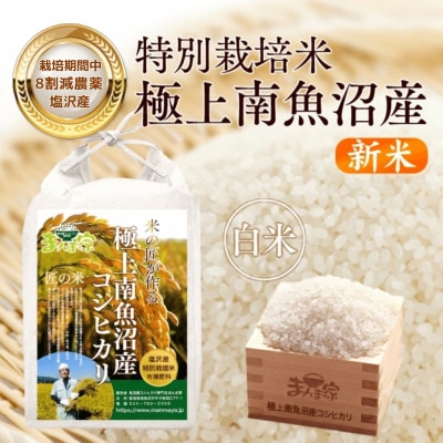 【8年産新米予約】特別栽培米「南魚沼産コシヒカリ」(栽培期間中農薬節減・化学肥料不使用)白米5kg