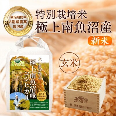 【8年産新米予約】特別栽培米「南魚沼産コシヒカリ」(栽培期間中農薬節減・化学肥料不使用)玄米10kg
