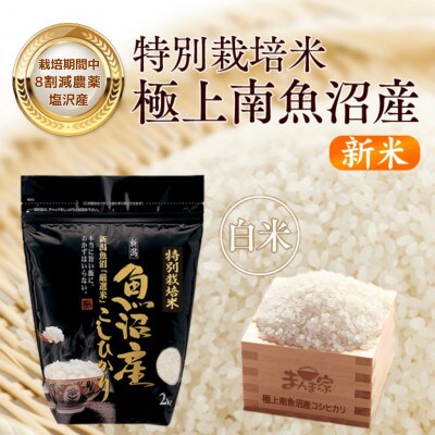【8年産新米予約】特別栽培米「南魚沼産コシヒカリ」(栽培期間中農薬節減・化学肥料不使用)白米8kg