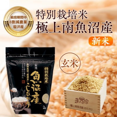 【8年産新米予約】特別栽培米「南魚沼産コシヒカリ」(栽培期間中農薬節減・化学肥料不使用)玄米4kg