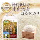 【毎月定期便】特別栽培米「南魚沼産コシヒカリ」白米5kg 全3回