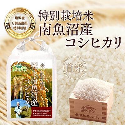 【毎月定期便】特別栽培米「南魚沼産コシヒカリ」白米5kg 全6回