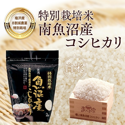 【毎月定期便】特別栽培米「南魚沼産コシヒカリ」精米8kg 全12回