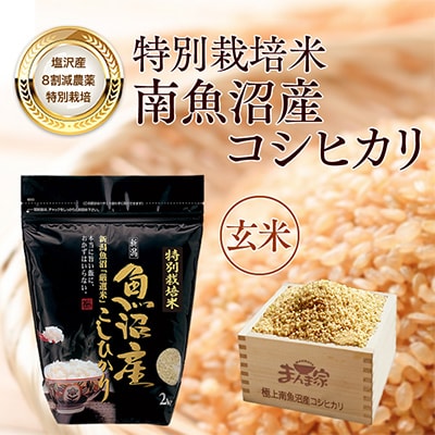 【毎月定期便】特別栽培米「南魚沼産コシヒカリ」玄米8kg 全12回