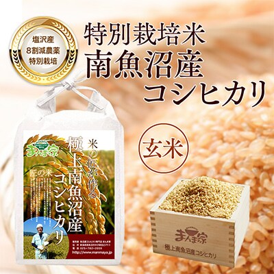 【毎月定期便】特別栽培米「南魚沼産コシヒカリ」玄米10kg 全12回