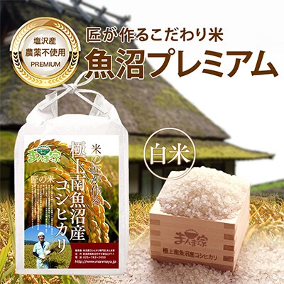 【毎月定期便】特別栽培米「南魚沼産コシヒカリ」(栽培期間中農薬・化学肥料不使用)白米10kg 全3回