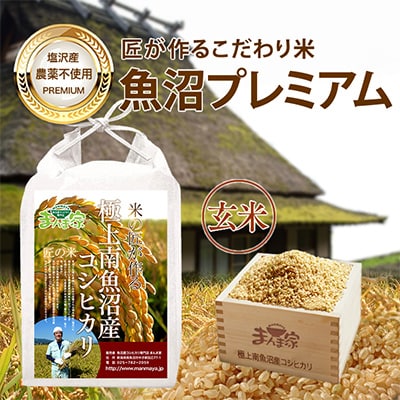 【毎月定期便】特別栽培米「南魚沼産コシヒカリ」(栽培期間中農薬・化学肥料不使用)玄米5kg 全6回