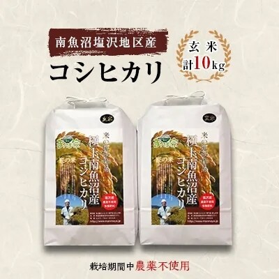 2023年4月発送開始『定期便』栽培期間中農薬不使用　南魚沼産コシヒカリ　玄米10kg　全3回