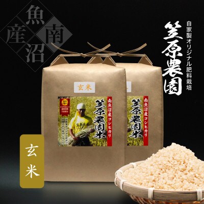 令和6年産　南魚沼産 笠原農園米 コシヒカリ(玄米)5kg×2