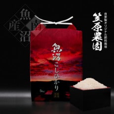 令和4年産　南魚沼産 笠原農園米 コシヒカリ5kg