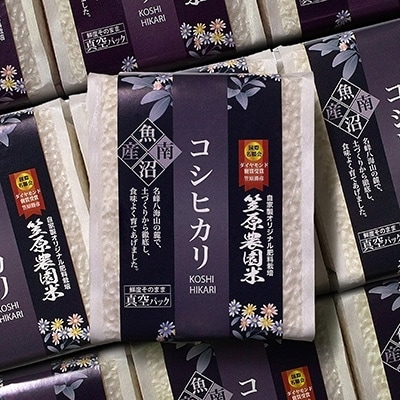 【新米】令和7年産　南魚沼産 笠原農園米　コシヒカリ真空パック(450g×20個)