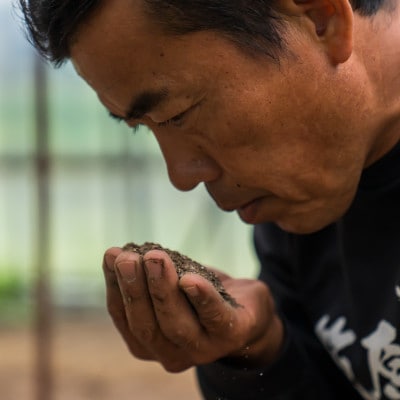 令和6年産　南魚沼産 笠原農園米 ミルキークイーン真空パック(450g×20個)