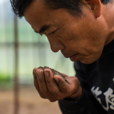 令和6年産　南魚沼産【笠原農園米】ミルキークイーン3合無洗米真空パック(450g×20個)