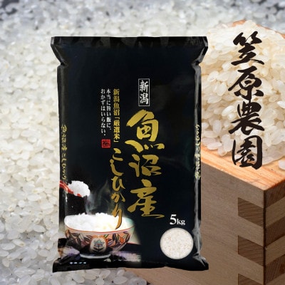 令和4年産 南魚沼産コシヒカリ5kg | お礼品詳細 | ふるさと納税なら