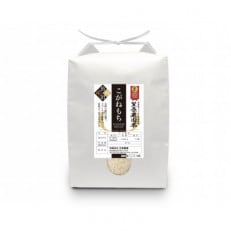 令和5年産　南魚沼産 笠原農園米 こがねもち 5kg | ふるさと納税のお礼品