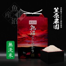 令和4年産　南魚沼産 笠原農園米 コシヒカリ無洗米 精米5kg