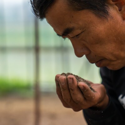 令和6年産　南魚沼産 笠原農園米 コシヒカリ無洗米 精米5kg