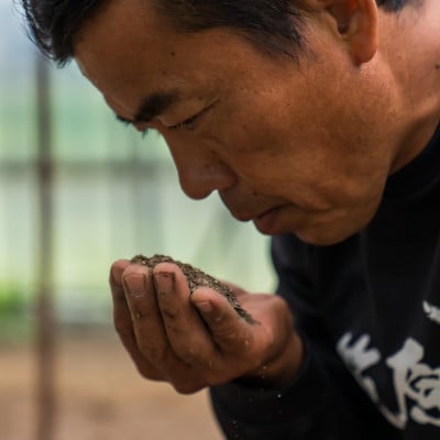 令和6年産　南魚沼産【笠原農園米】ミルキークイーン　精米5kg