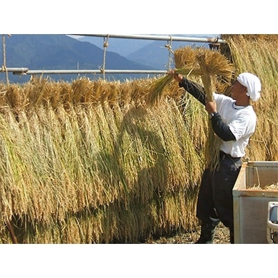 令和4年産 南魚沼産 笠原農園米 栽培期間中農薬不使用天日干しコシヒカリ 精米5kg