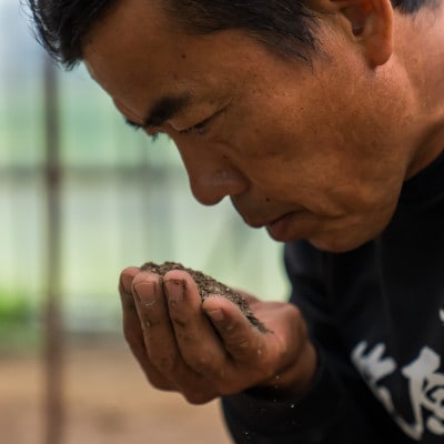 【令和6年産】南魚沼産 笠原農園米 栽培期間中農薬不使用ミルキークイーン無洗米 精米5kg