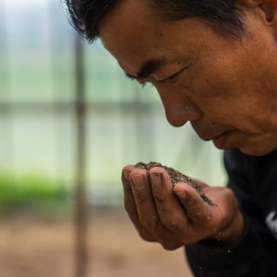 【新米】令和7年産　南魚沼産　笠原農園米　十年間栽培期間中農薬不使用コシヒカリ玄米　5kg