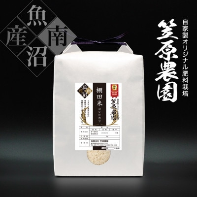 【新米】令和7年産　南魚沼産　笠原農園棚田米　コシヒカリ　無洗米　5kg