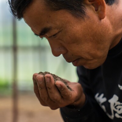 【新米】令和7年産　南魚沼産　笠原農園棚田米　コシヒカリ　無洗米　5kg
