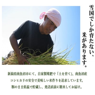 南魚沼産 笠原農園米 新之助 5kg