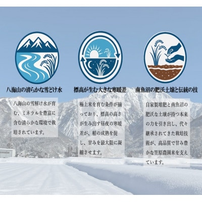 南魚沼産 笠原農園米 新之助 5kg