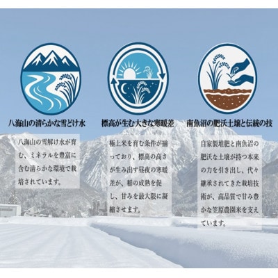 南魚沼産　笠原農園米　銘柄米　彩りアソート(2合300g×6種類)