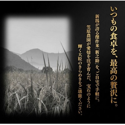 令和7年産　南魚沼産　笠原農園米　新之助　精米　2kg
