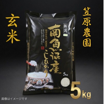 【令和7年産】南魚沼産コシヒカリ 玄米 5kg