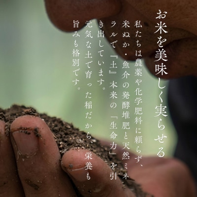 令和7年産 南魚沼産 笠原農園米 こがねもち 2kg