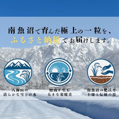 【新米】令和8年産　南魚沼産コシヒカリ5kg