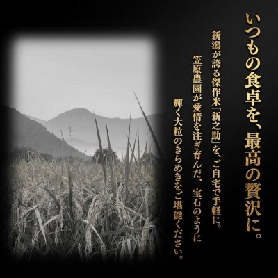 【新米】令和8年産 南魚沼産 笠原農園米 新之助(精米・無洗米)2kg
