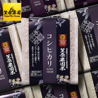 【新米】令和8年産 南魚沼産 笠原農園米 コシヒカリ(精米)真空パック(450g×20個)
