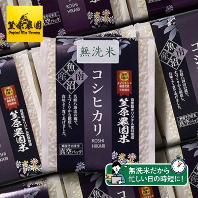 【新米】令和8年産 南魚沼産 笠原農園米 コシヒカリ(精米・無洗米)真空パック(450g×20個)