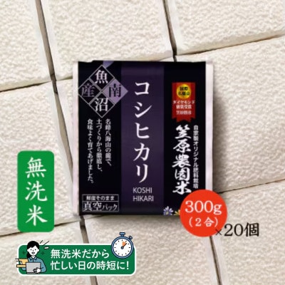 【新米】令和8年産 南魚沼産 笠原農園米 コシヒカリ(精米・無洗米)2合真空パック20個【簡易包装】