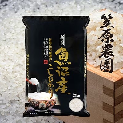 【毎月定期便】南魚沼産コシヒカリ 精米 5kg全6回