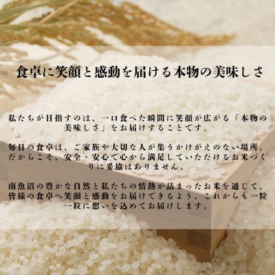 【毎月定期便】【無洗米】南魚沼産コシヒカリ　5kg全6回