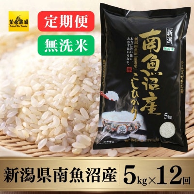 【毎月定期便】【無洗米】南魚沼産コシヒカリ　5kg全12回