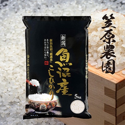 2023年8月発送開始『定期便』南魚沼産コシヒカリ 5kg　全6回