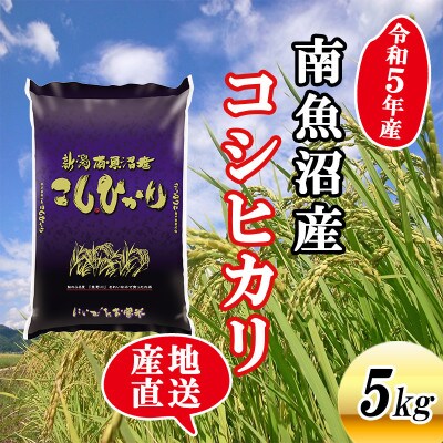【令和5年産】新潟県南魚沼産コシヒカリ5kg